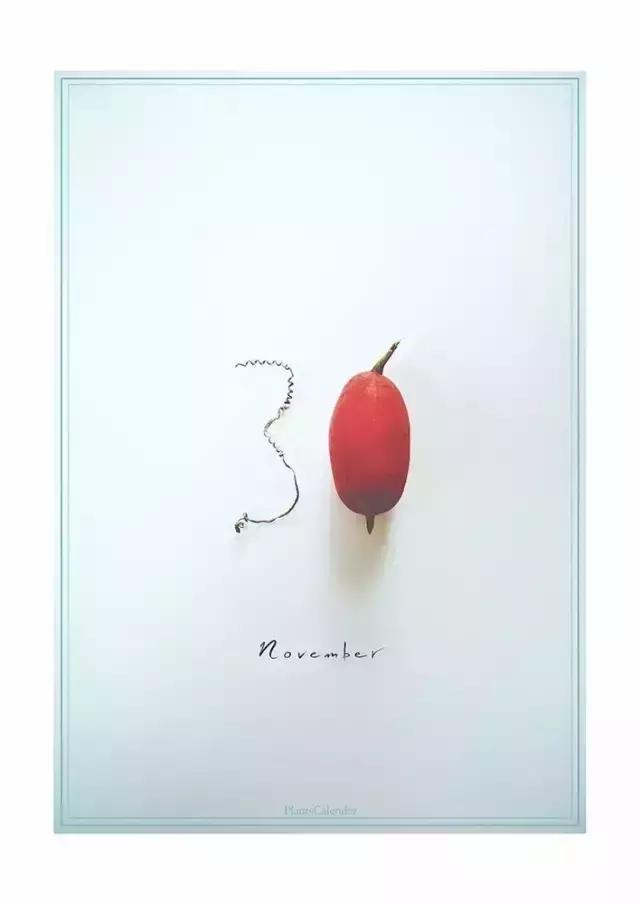 diy干花教程5朵,自己动手diy的干花