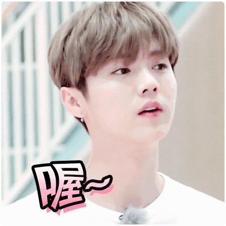 跟着男神一起来“撸铁”！鹿晗陈伟霆刘昊然的健身照荷尔蒙爆棚想舔屏！