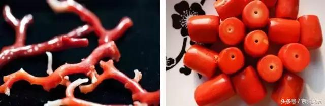 红珊瑚的作用与保养,红珊瑚的作用与用途
