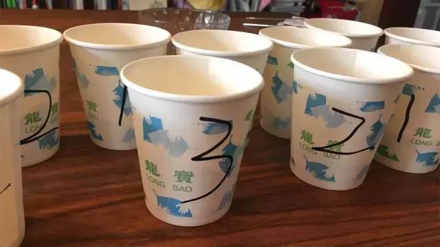 巨资打造｜19款超人气代餐产品评测，哪款值得买？