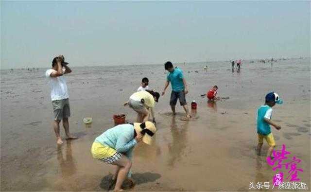 农家院采摘联盟（紫塞）乡村游攻略十六：唐山乐亭老船家农家院