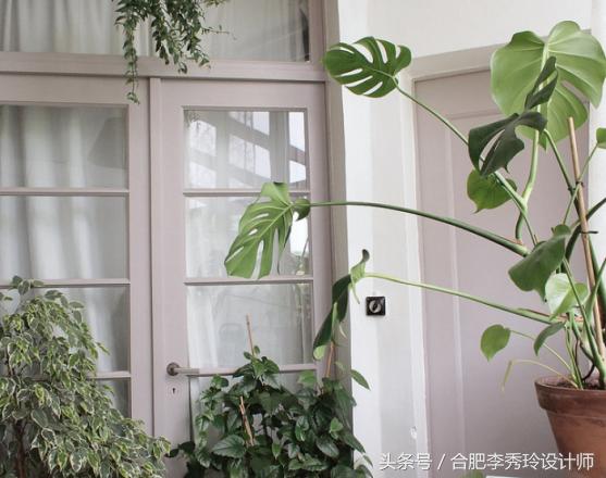 实木门跟复合门隔音效果,室内门装实木门还是复合门好