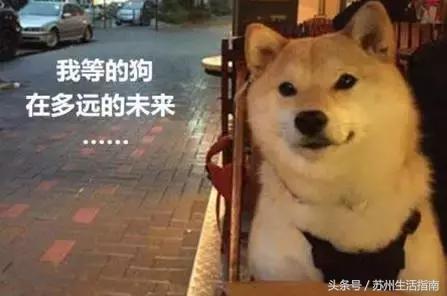 苏州最新首套房贷利率,苏州现在首套房贷利率是多少