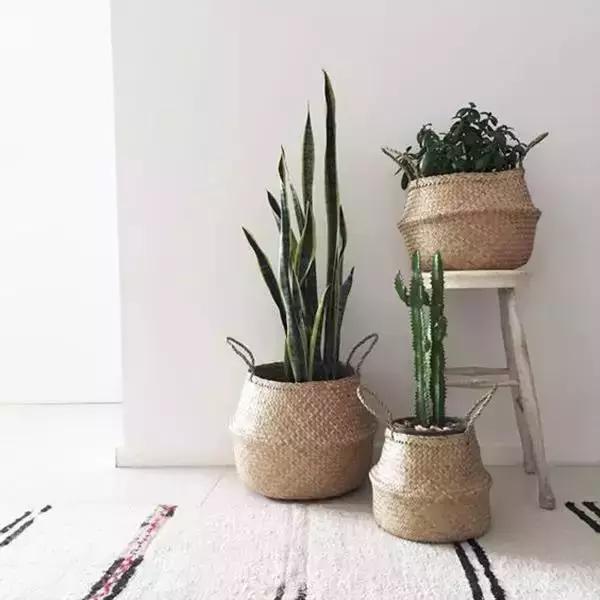 100元内红遍ins的创意收纳，我的家也要颜值爆表！