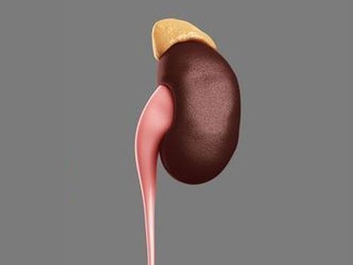 下巴长痘是清热解毒还是祛湿,下巴发黑长痘是不是体内有毒素