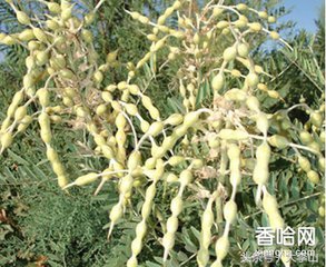 农村赚钱的十大经历,分享两个不体面但利润吓人的生意