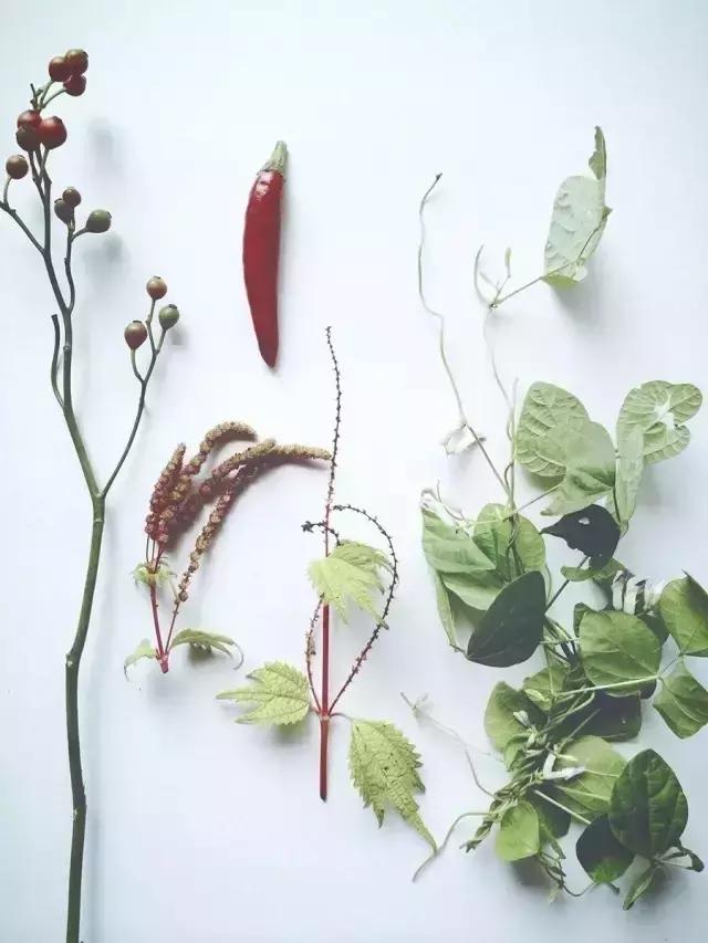 diy干花教程5朵,自己动手diy的干花