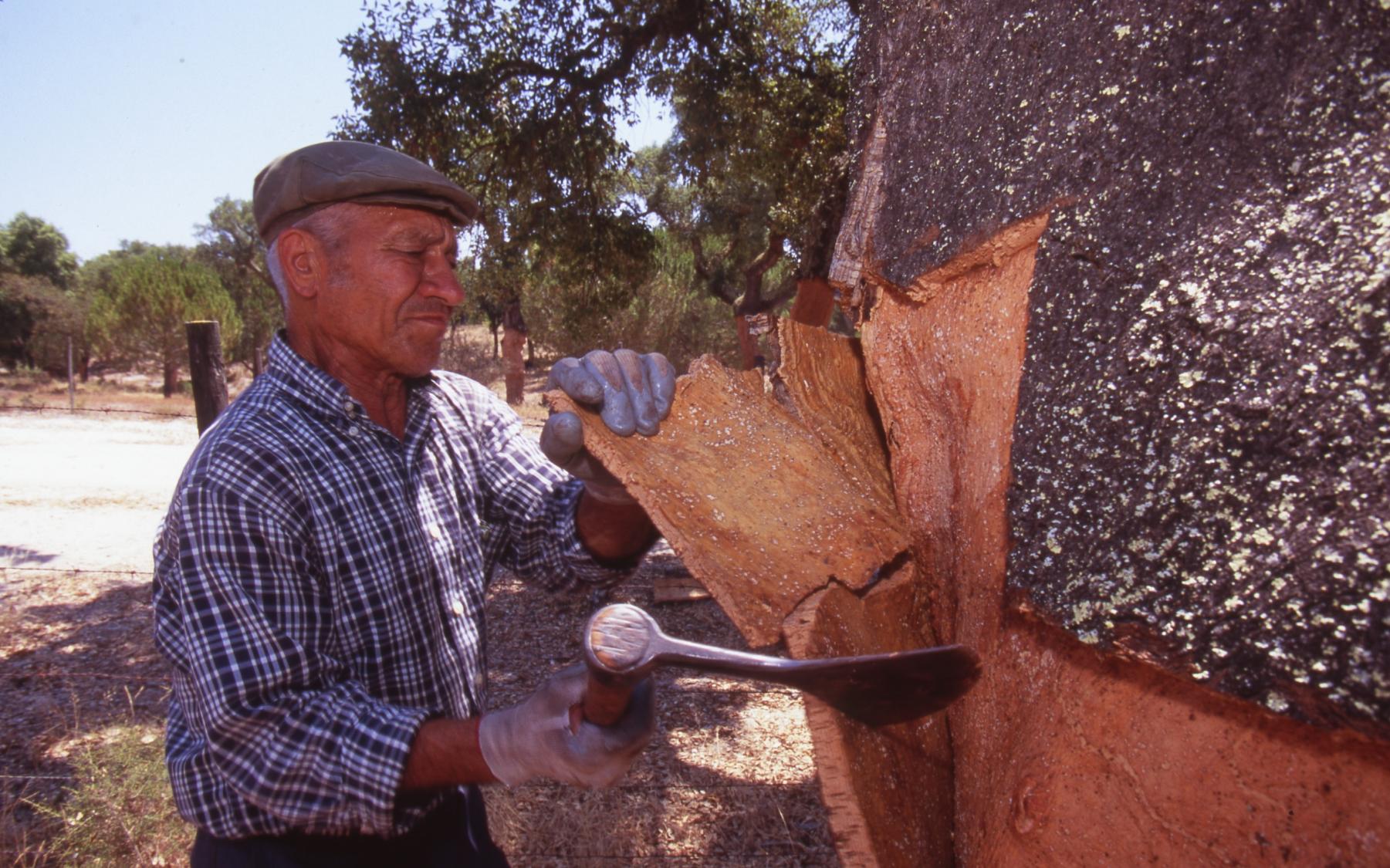 软木地板好在哪里,五百一平的多层实木地板
