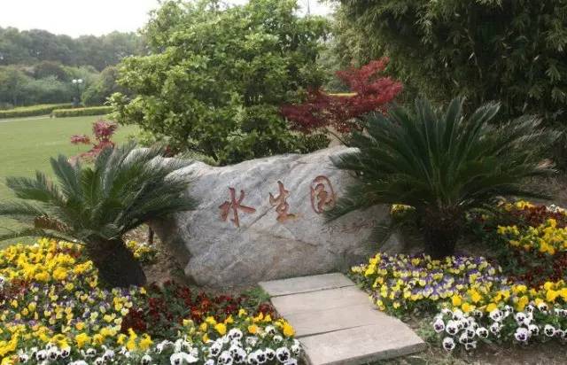 上海老夫妻旅行路线攻略,上海适合老年人去的地方推荐