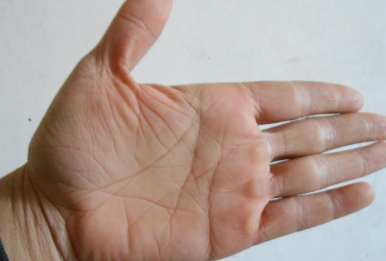 三种手相最好命图片,这三种面相的人未来一定不缺钱