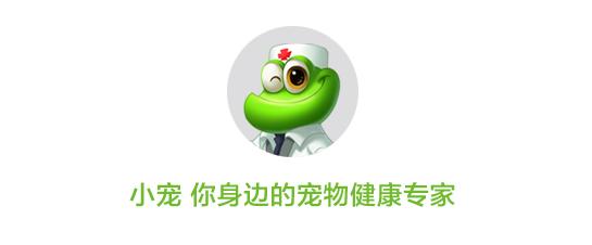 狗妈妈坐月子需关注什么,狗妈产后抑郁怎么办