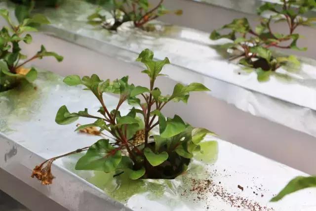 肇庆无动力亲子乐园,肇庆夏季亲子旅游推荐地方