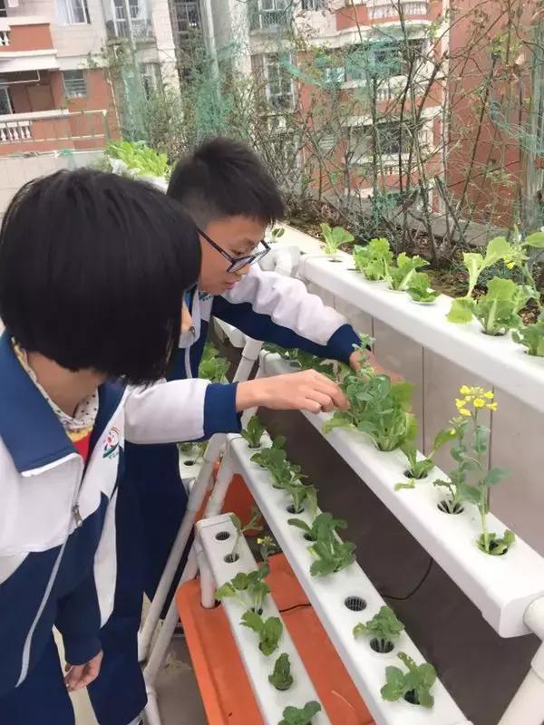 肇庆无动力亲子乐园,肇庆夏季亲子旅游推荐地方