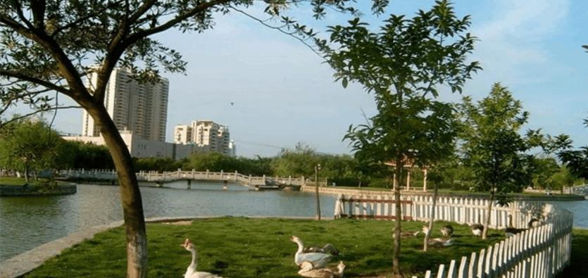 东莞最值得一去的公园，环境优美、美不胜收