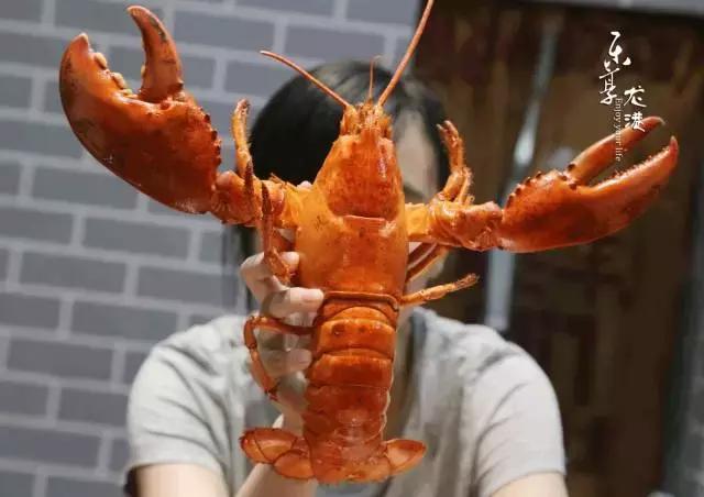 澳洲大龙虾400斤,澳洲大龙虾波士顿龙虾
