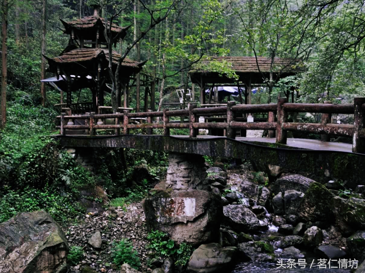 四川最美的山，你去过几个？华蓥山、青城山、西岭雪山……