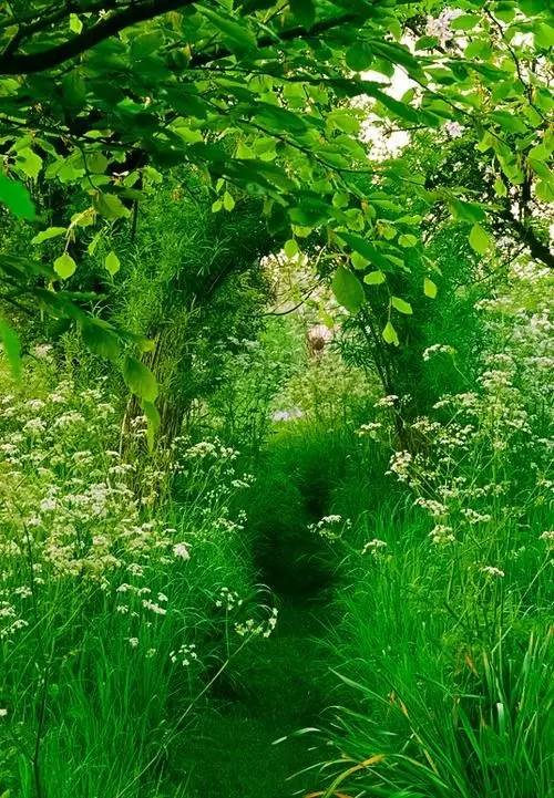 轻学教育靠谱吗,轻学教育抖音靠谱吗