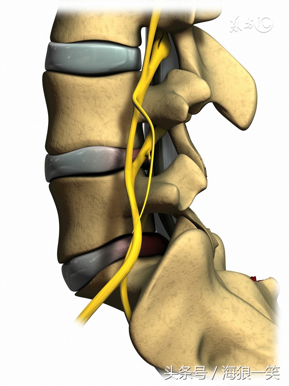 学习健身气功六字诀心得体会,练习太极拳膝盖疼怎么办