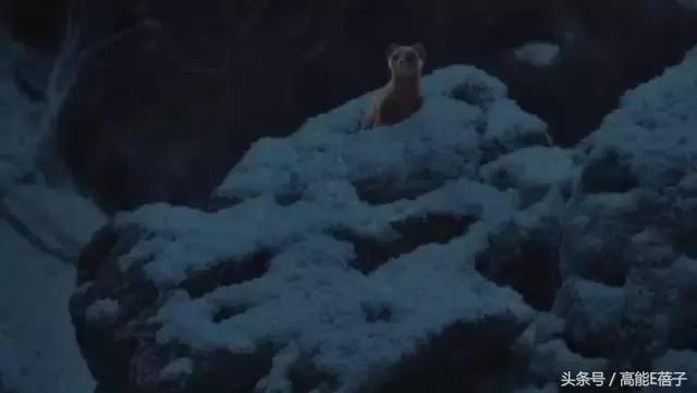 鬼吹灯黄皮子坟有必要听吗,黄皮子坟鬼吹灯1至21集免费观看