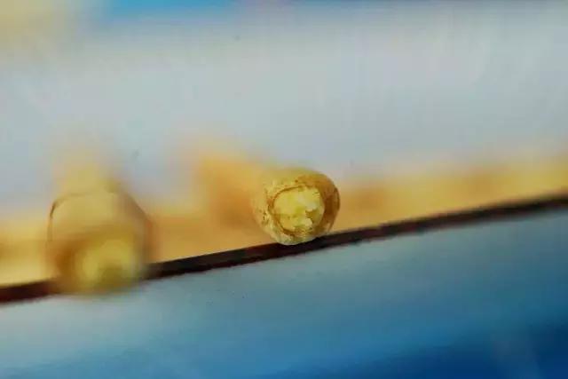 罗森便利店和711哪个好吃,全家罗森711唐久便利店系列