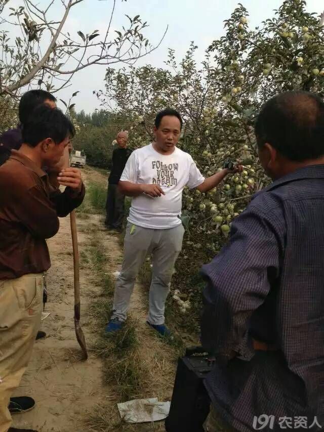 果树重金属中毒怎么办,果树锰中毒怎么办