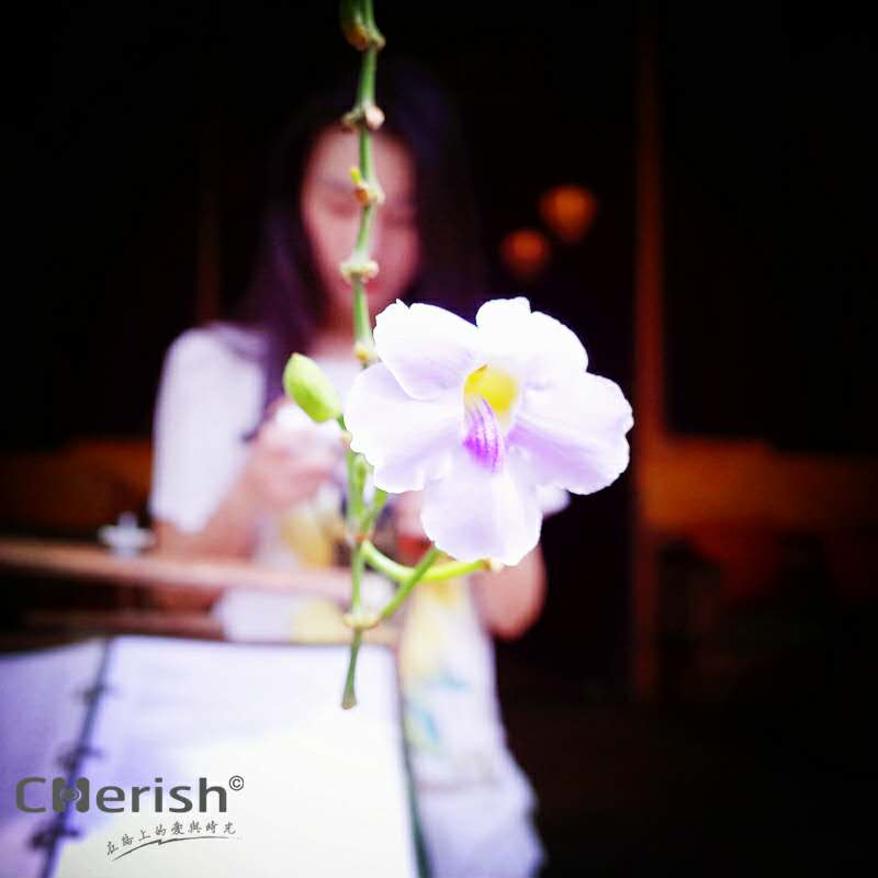 清迈批发市场——伴手礼天堂（不买怎么对得起自己）