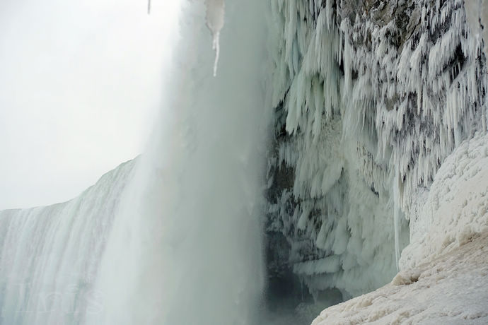 尼亚加拉珍稀冰酒,尼亚加拉冰葡萄酒