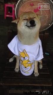 就是这种感觉原版,就是这种感觉什么歌