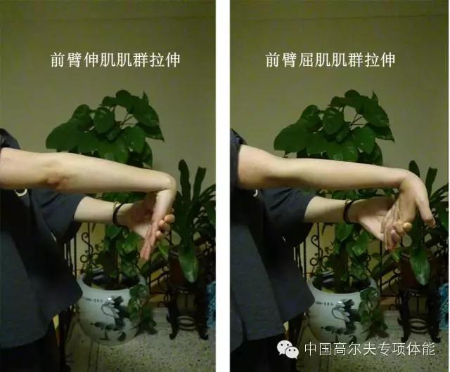 高尔夫球肘康复训练,高尔夫球肘康复训练后疼痛加重