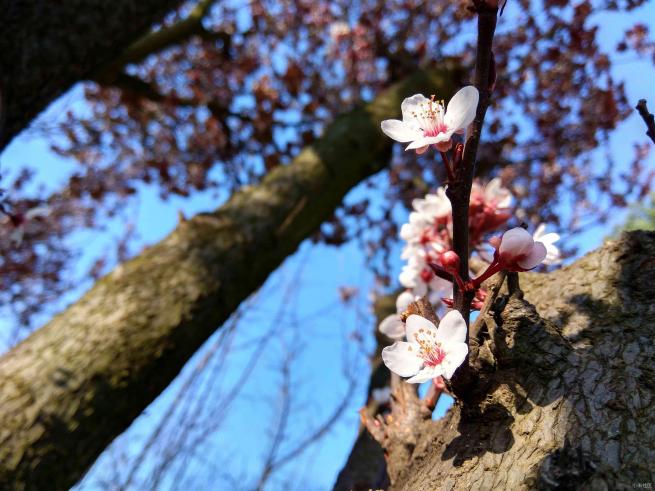 红米note3的拍照方法,红米note3不亮