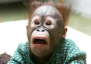 这么特别的求婚方式你见过吗,这样别致的求婚方式你见过吗