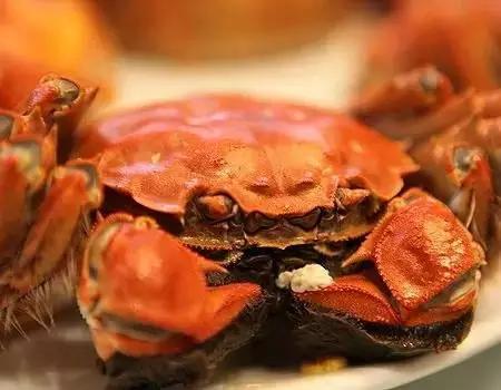 重庆十大虚假案例,重庆商品假货识别