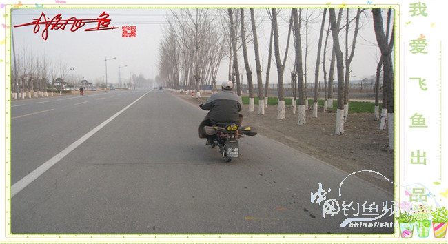 2016之我爱飞鱼觅得好钓点