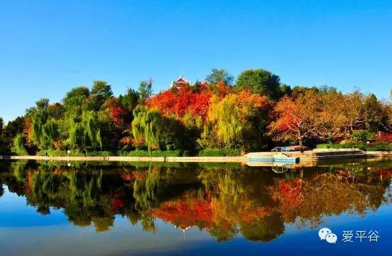 平谷是个神奇的地方,第二故乡北京平谷