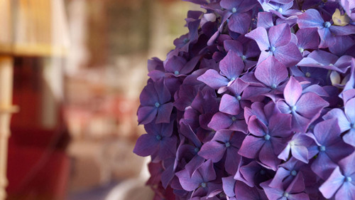 盘点那些骂人的口头禅,盘点那些骂人的语气