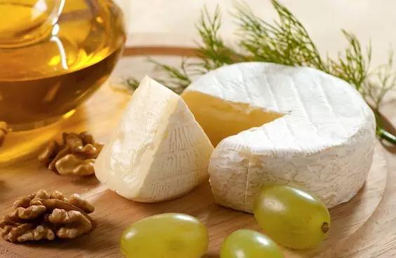 陷阱里的奶酪到底是个什么东西？