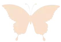 支付宝密码暴露了有事吗,提示支付宝已被其他用户绑定