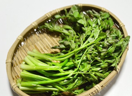 常见野菜吃法做法大全,常见野菜种类吃法