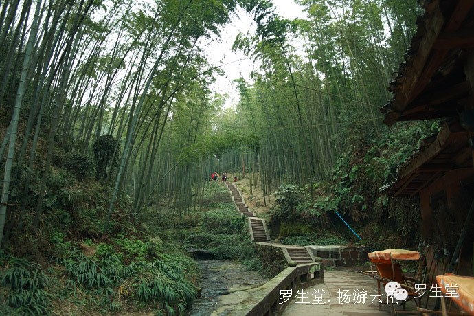 云南旅游攻略必去吃的美食有哪些,云南吃些什么特色美食