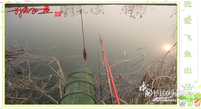 2016之我爱飞鱼觅得好钓点