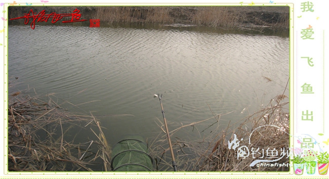 2016之我爱飞鱼觅得好钓点