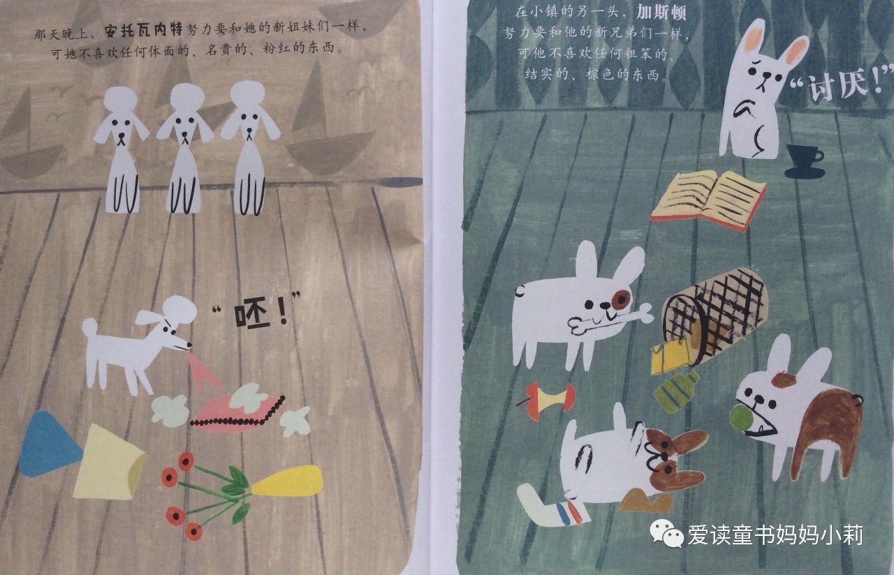 农场主，家庭主妇，音乐家，巴菲特为什么不让孩子继承自己的商业帝国