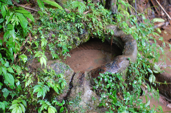 四川热天去哪玩凉快又好玩,四川竹海旅游推荐