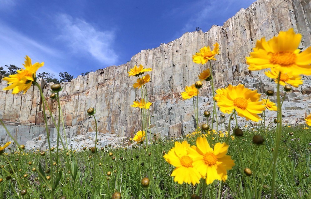 大学生旅游节｜青岛最给力25条自由行路线，总有一条适合你！