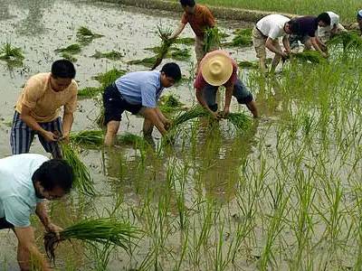 客家话最古老的字,客家人最具代表的字