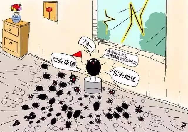 成都将迎高温暴雨,成都最近30度高温暴雨