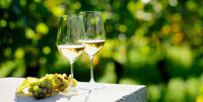 快速了解德国,德国葡萄酒怎么样