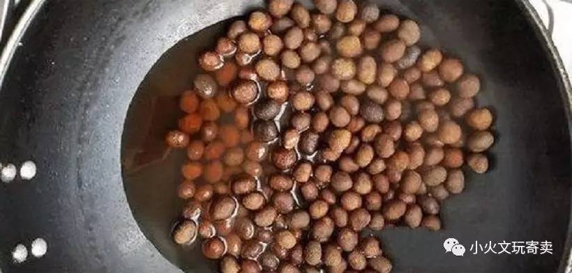 星月菩提如何选购,星月菩提怎么选购