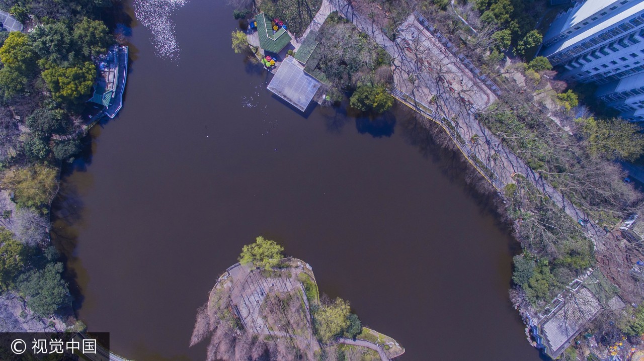 上海附近的免费凉快的地方,上海哪里可以免费乘凉