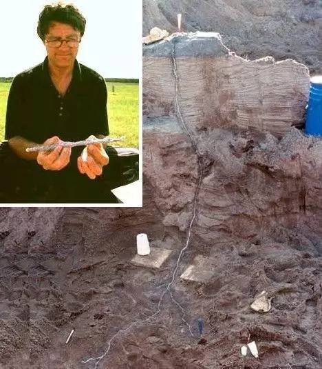 瘦成一道闪电了是什么样,瘦成一道闪电有多粗